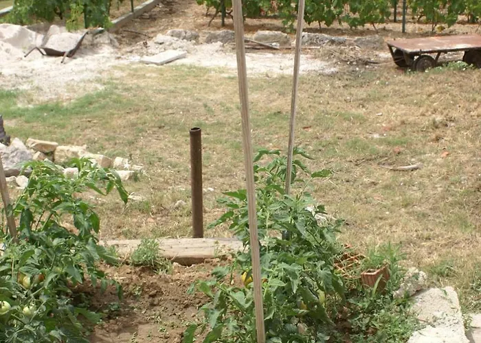 By The Sea Sepurine, Prvic - 4238 דירה *